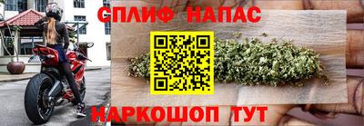 mdma Аргун