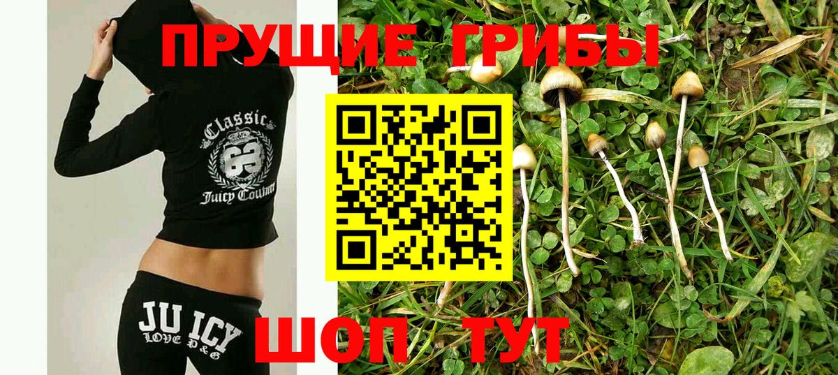 Губкин  Галлюциногенные грибы ЛСД  Вход с VPN  Псилоцибиновые грибы MAGIC MUSHROOMS 